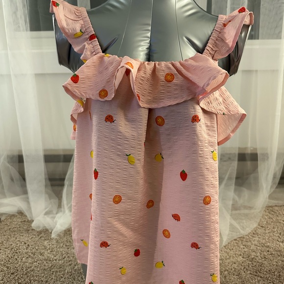 Pink Ruffle Top with Fruit Embroidery - Picture 2 of 3